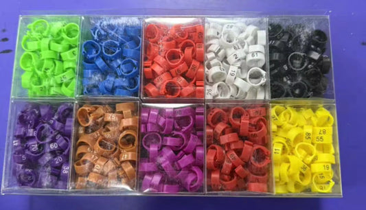 Pigeon plastic rings 1000 piece
حجول بلاستك لحمام ١٠٠٠ حبه المقاس 8mm