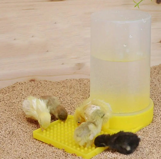 5pcs Anti-Drowning Chicken Water Dispenser - مشربيات صيصان ممتازه لمنع الغرق عدد ٥