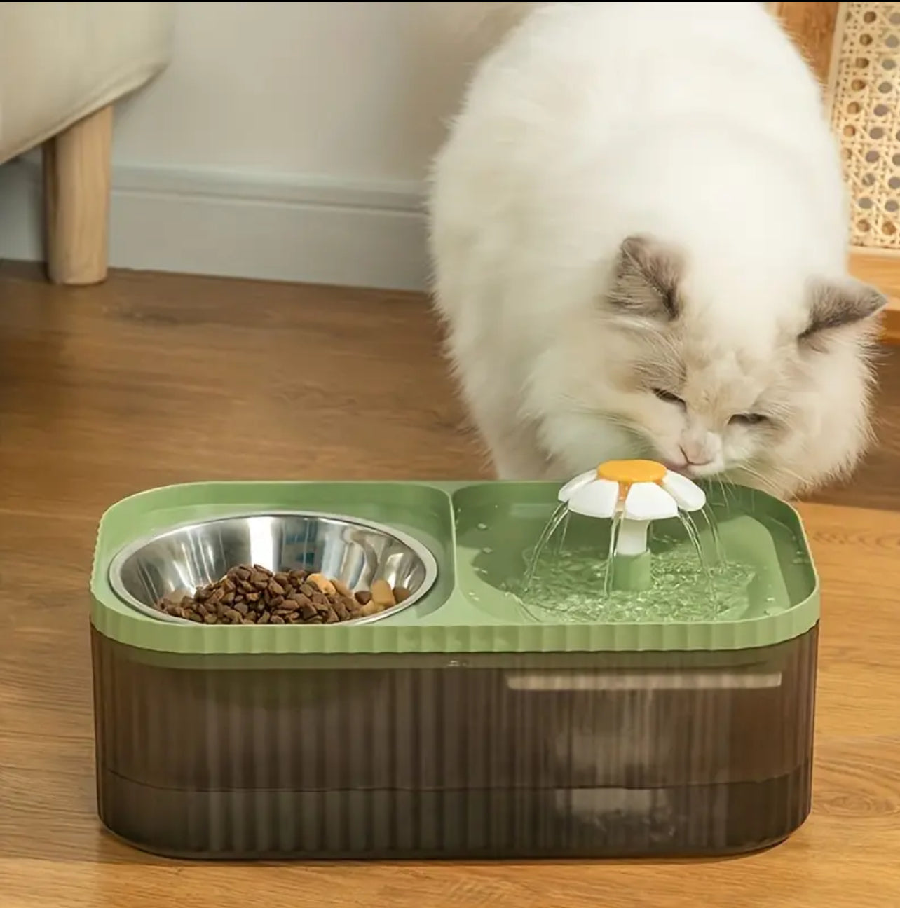 Famorial 2-in-1 Cat Water Fountain & Food Bowl - USB Powered, Non-Battery Needed, Ideal for Cats وعاء للاكل والشرب على شكل نافوره يشتغل بوصله usb