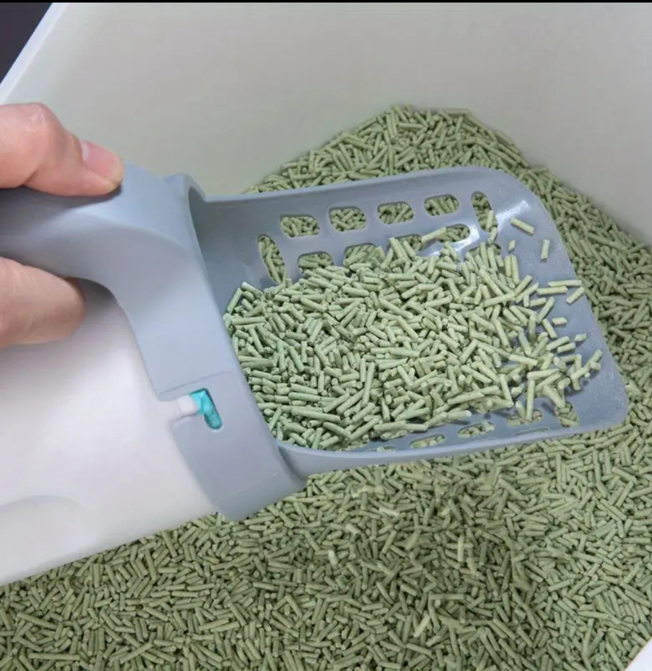 Cat Litter Scoop Set with Integrated Waste 10 pieces Bag Dispenser - مغرفة القمامة للقطط مع موزع أكياس النفايات المتكاملة مع ١٠ رولات اكياس