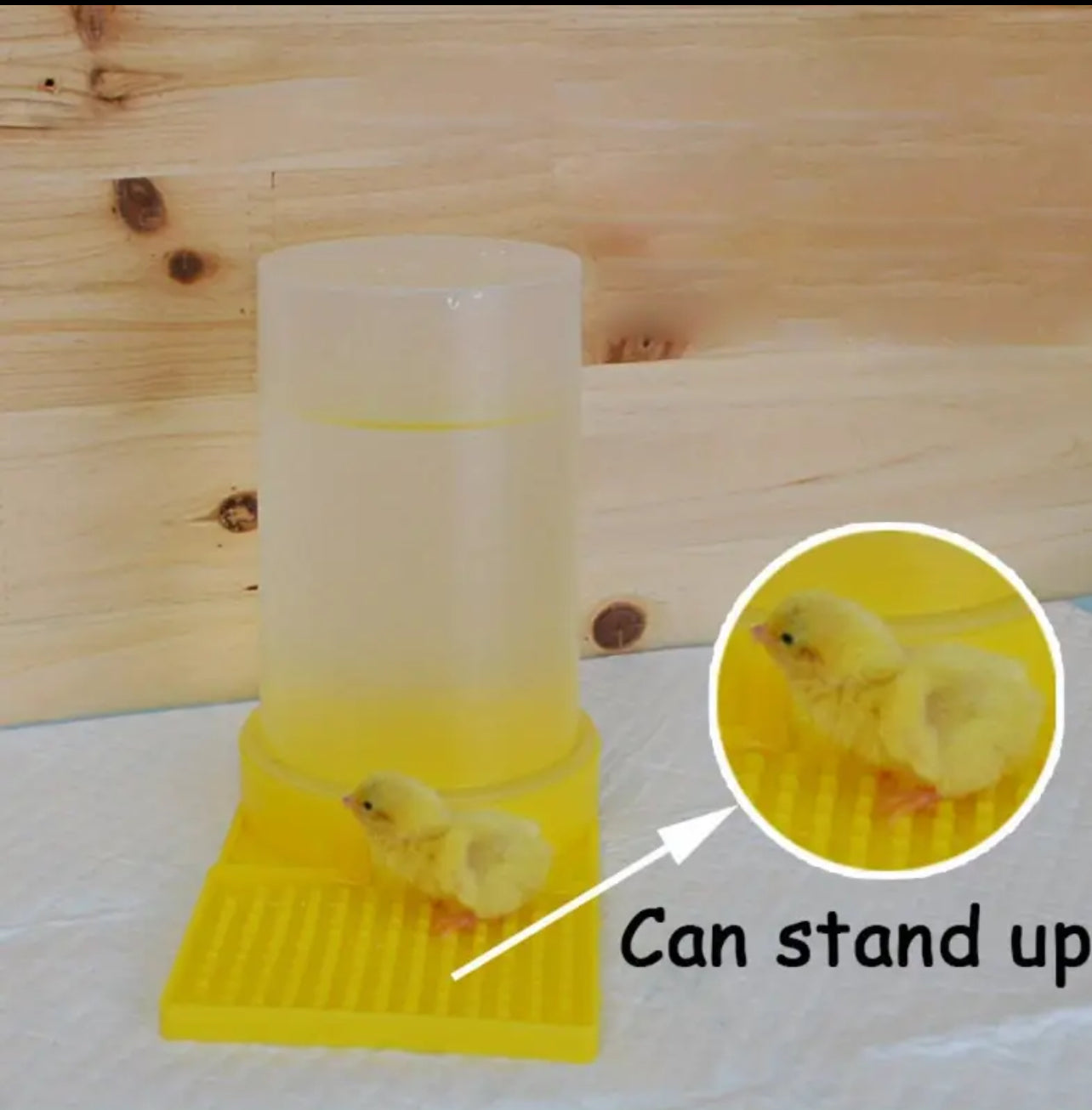 5pcs Anti-Drowning Chicken Water Dispenser - مشربيات صيصان ممتازه لمنع الغرق عدد ٥