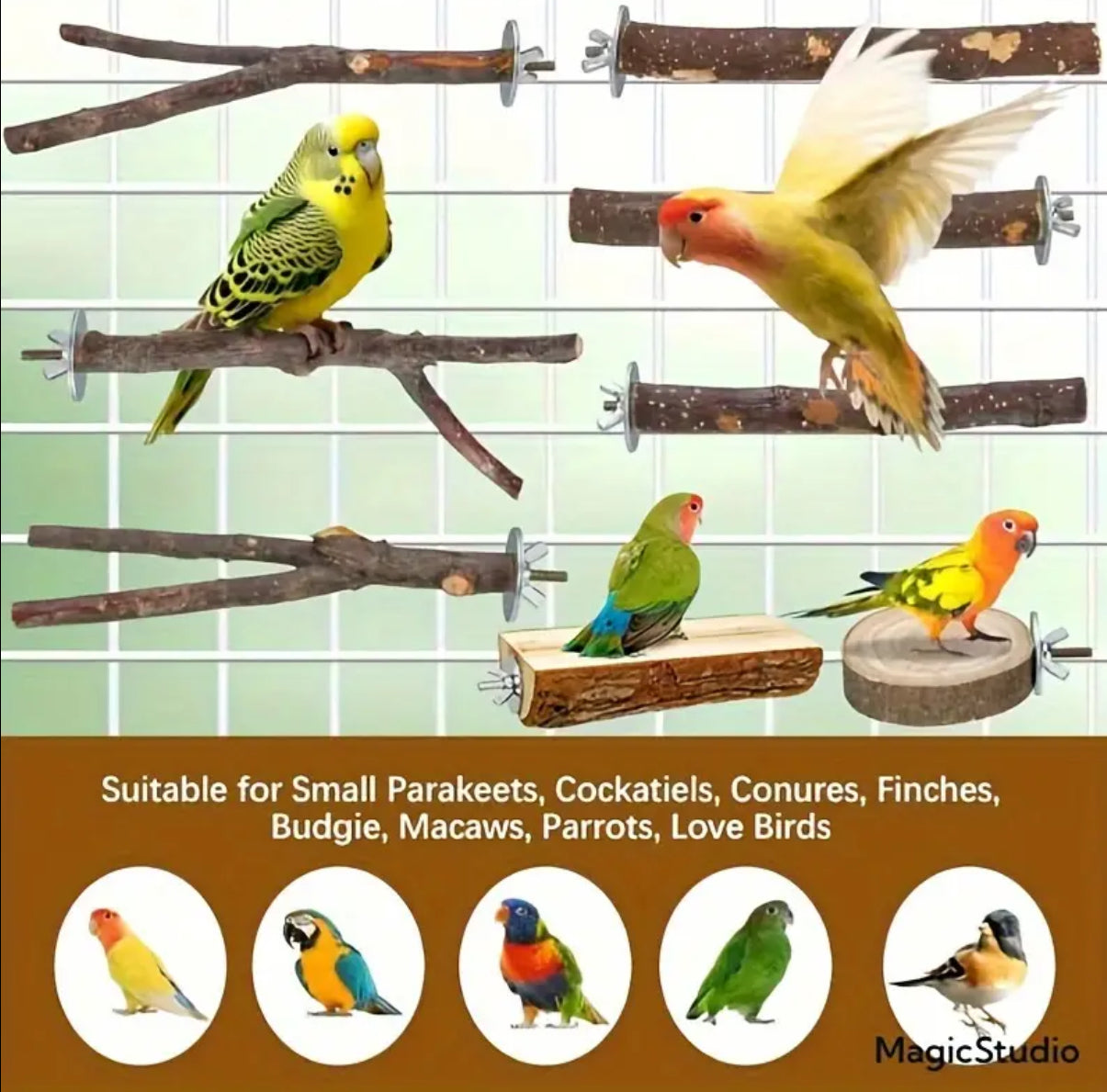 9-Piece Natural Wood Bird Toy Set for Parrots and Small Birds وقفات خشبيه للاقفاص سهله التثبيت ٩ قطع