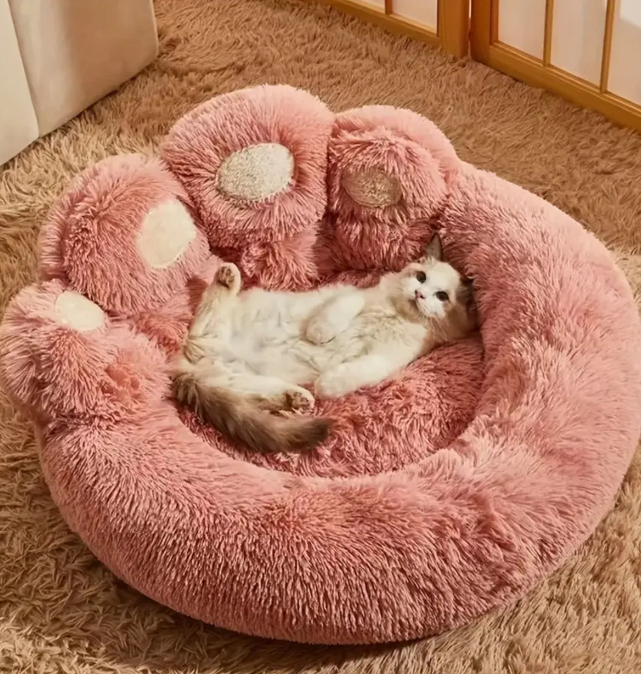 Luxury Plush Cat Bed with Cozy Bear Paw Design. سرير القط الفخم الفاخر مع تصميم مخلب الدب المريح