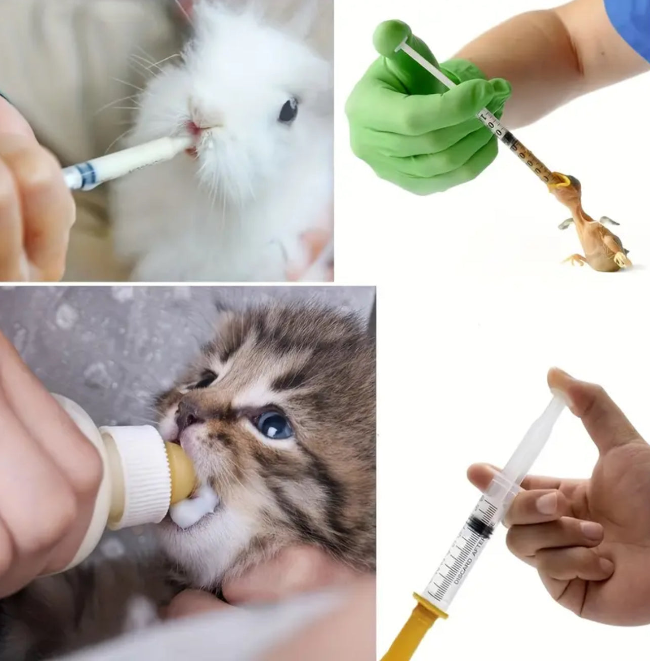 1 Set Pet Feeding Supplies Kit - 5ml Syringe, Pillbox, Teat Nipple Feeder for Dogs and Cats - (1 set - 18piece) ادوات غر الحيوانات الطقم (١٨ قطعه)مثل الموضح