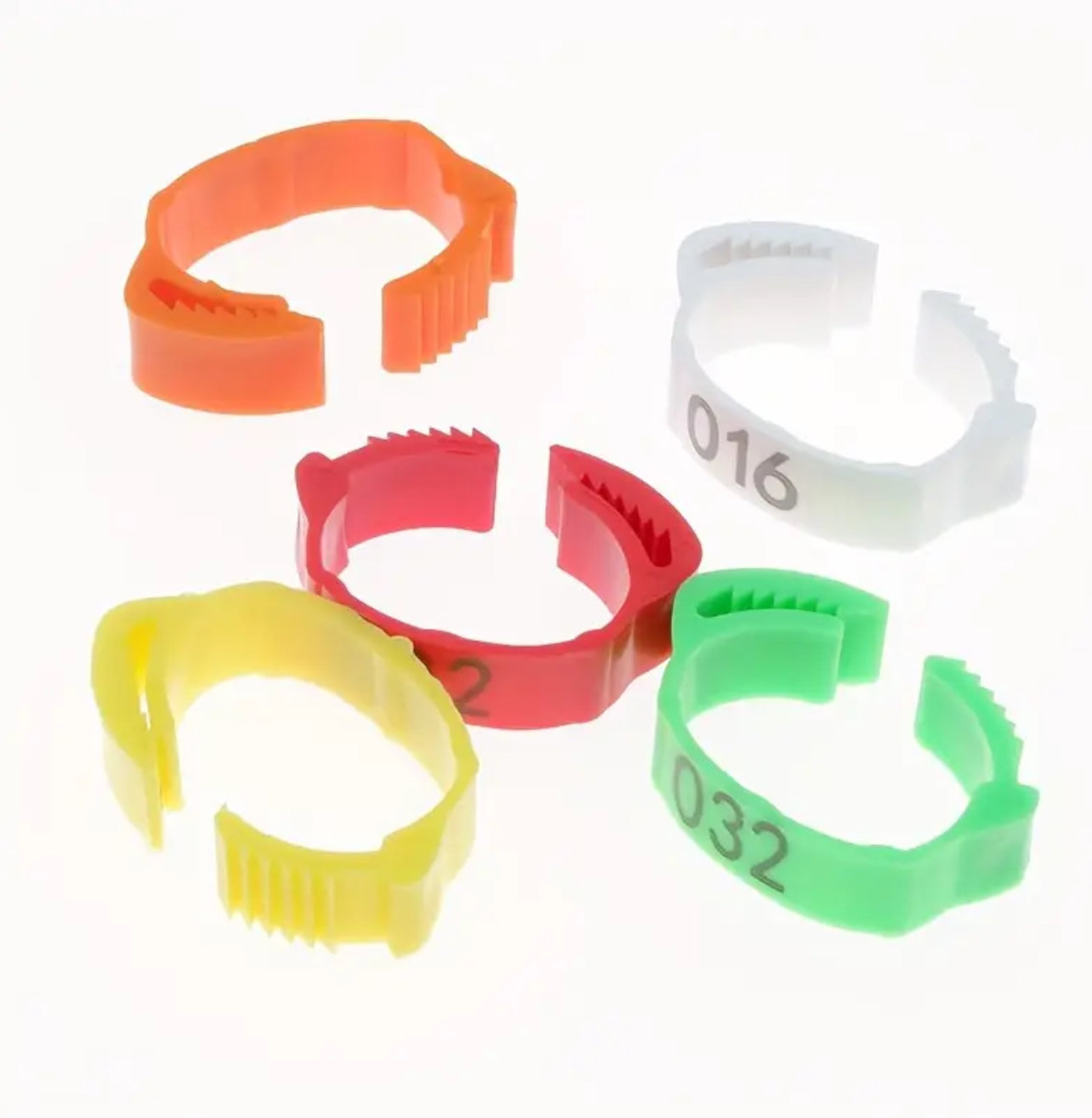 100 pcs chicken leg band 25mm  حجول بلاستك للدجاج مقاس ٢٥ مم (١٠٠ حبه)