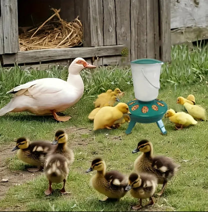 2pc Adjustable Height Chicken Feeder & Waterer Set طقم للشرب والاكل بأرجل للدجاج قابل للتعديل