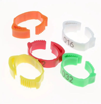100 pcs chicken leg band 25mm  حجول بلاستك للدجاج مقاس ٢٥ مم (١٠٠ حبه)