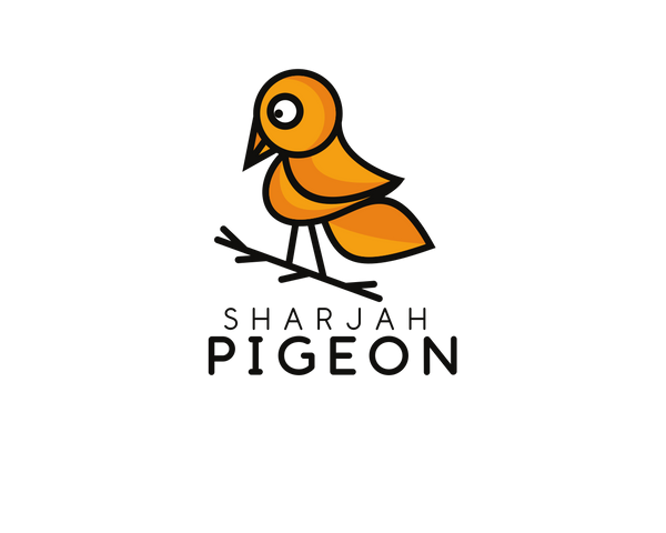 Sharjah pigeon