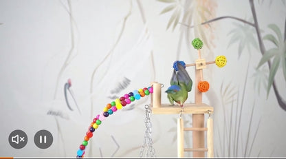 Natural Atlantic Cedar Wood Parrot Play Stand ستاند للببغاء مع الالعاب